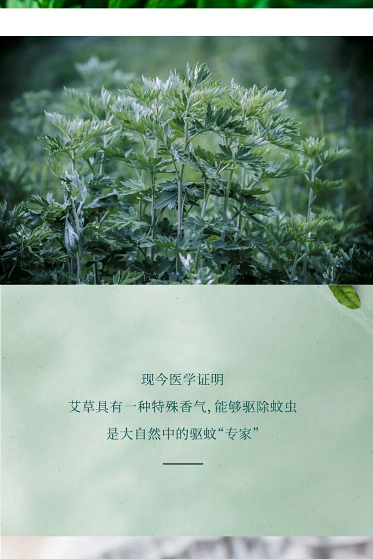 艾草竹草系列