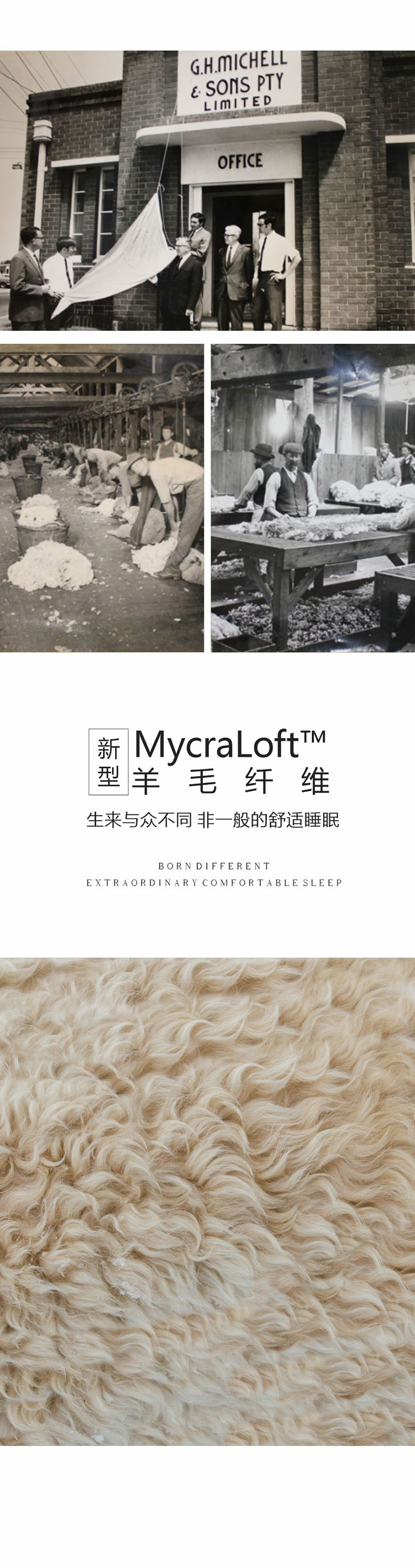 MICHELL18701870安睡羊毛床垫